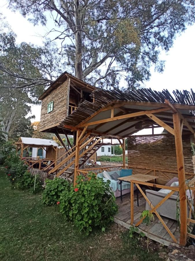 Daidala Life Panzió Göcek Kültér fotó